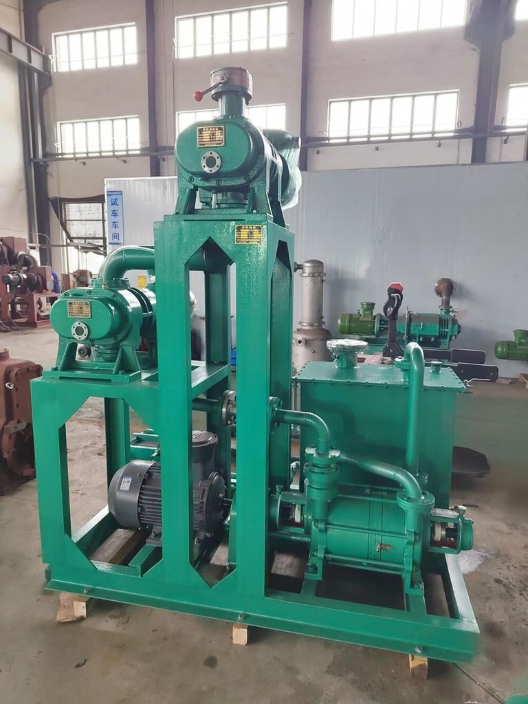 2SK Two Stage Liquid Ring Vacuum Pump | China Vacuum Pumps ,NuoXuTech