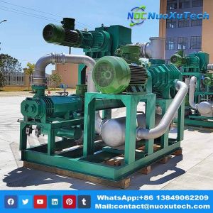 Roots Screw pump system