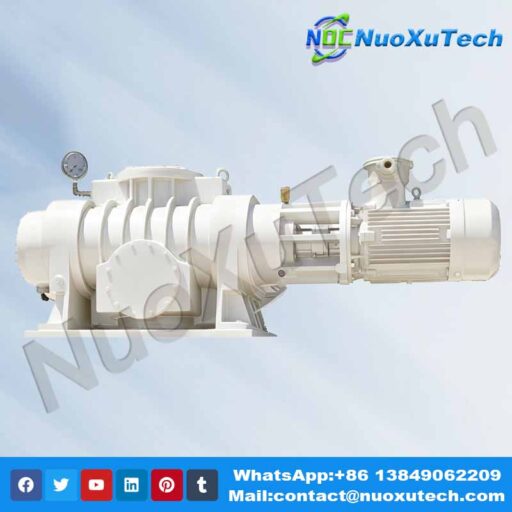 Reliable Roots Vacuum Pumps – Leading Supplier In China | NuoXuTech